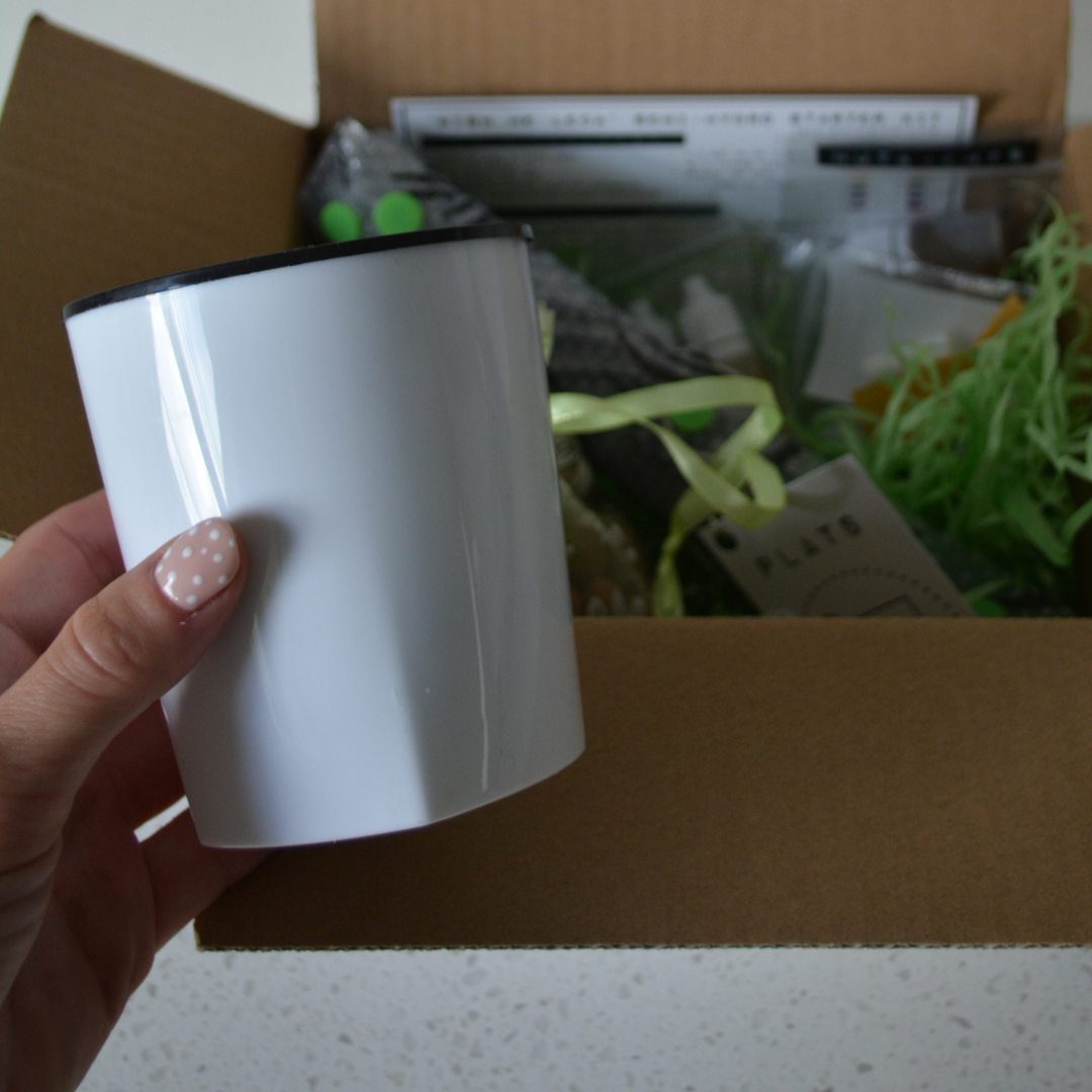 Plantmats - Wholesale DIY Craft Kit - Wish Me 'Leca' Starter Kit7