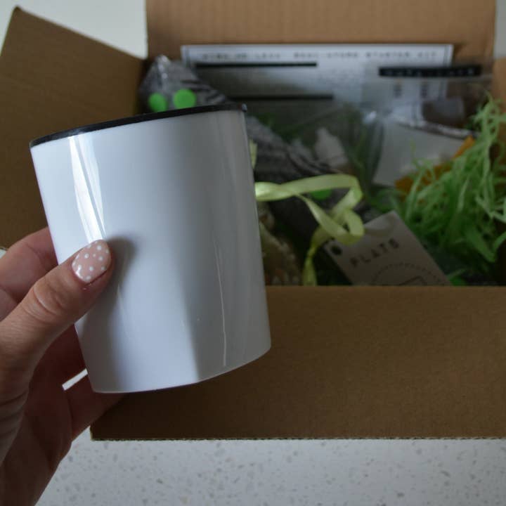 Plantmats - Vente Kit de bricolage - Kit de démarrage Wish Me « Leca »7