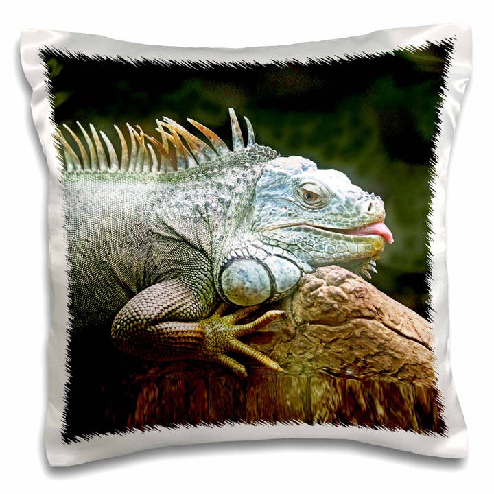 3dRose, Imagem de um lagarto iguana. , Fronha por atacado de 3dRose