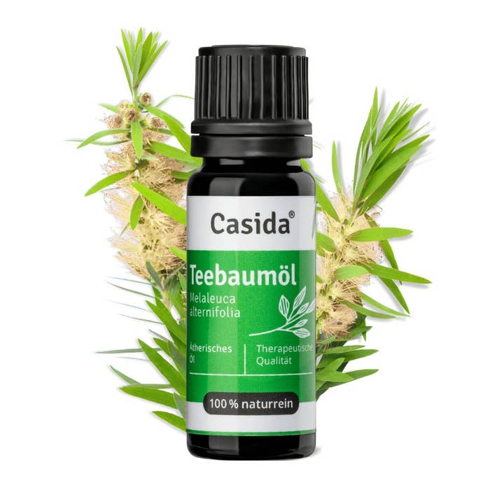 Tea tree oil pure essential oil 100% pure natural for wholesale by Casida