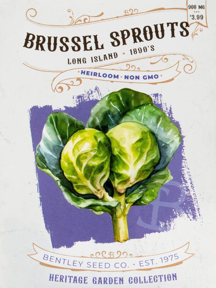 Brussel Sprouts-Long Island 1890's for wholesale by Bentley Seed Co.