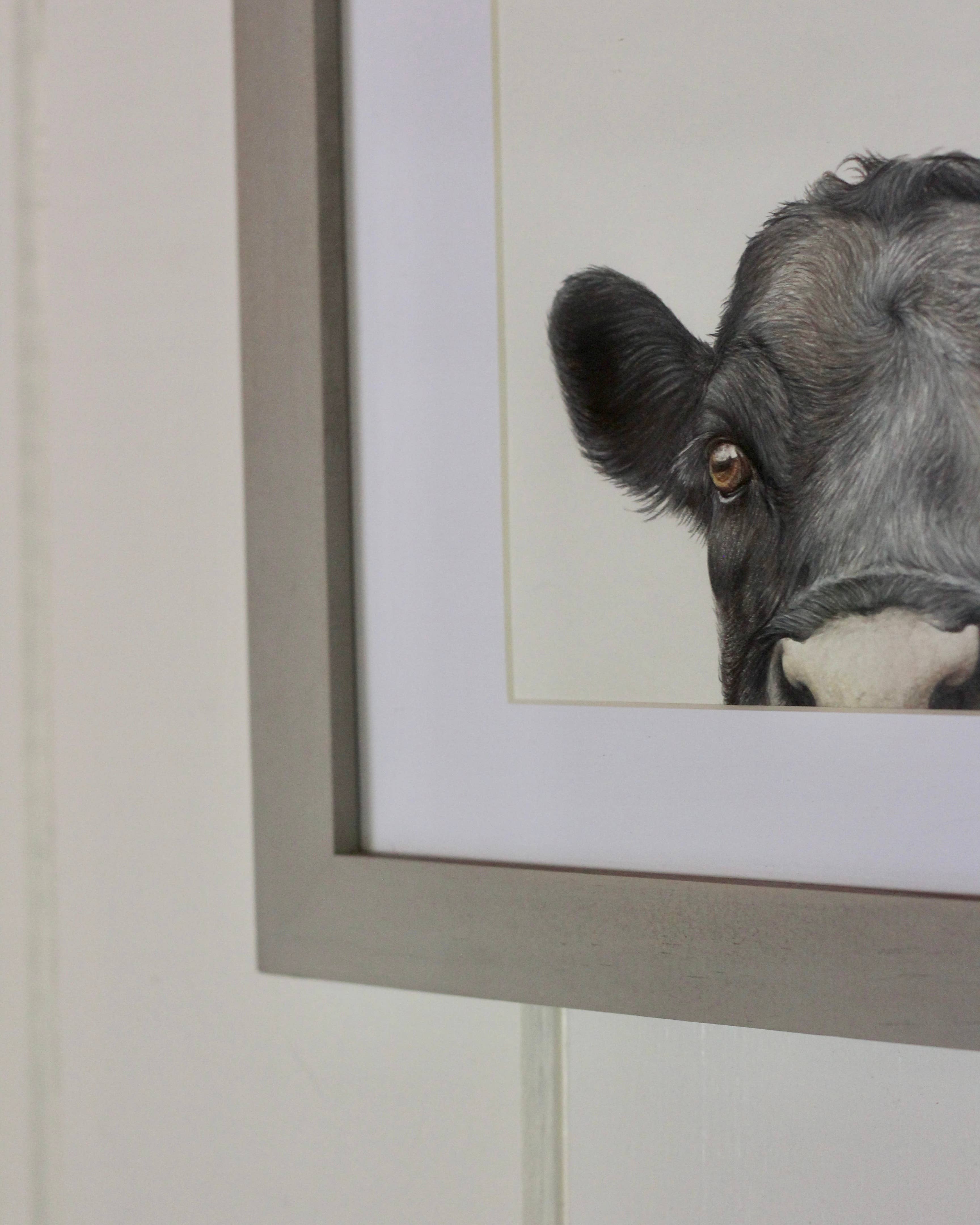 stück in the studio - Wholesale Art Print - cow - print2