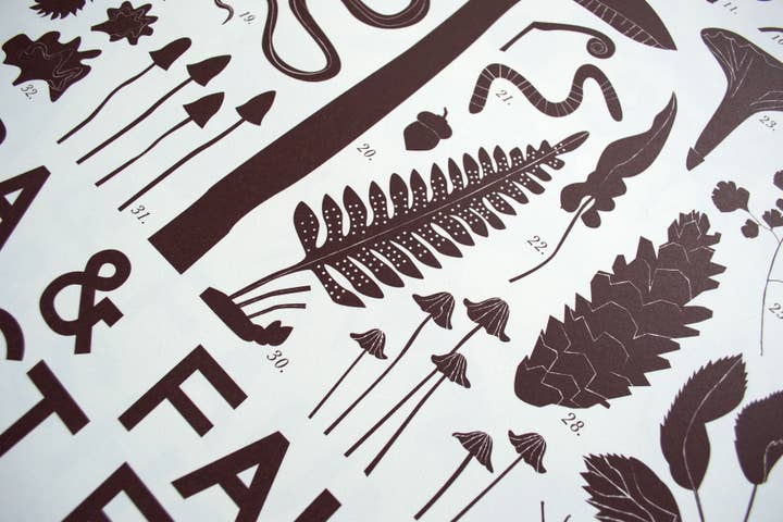 Banquet Workshop - Wholesale Art Print - Forest Floor Flora and Fauna Art Print2