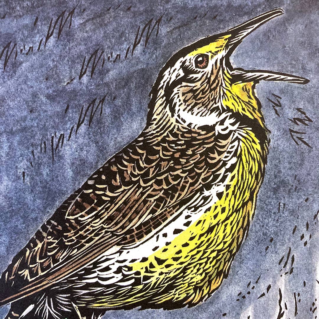 Claire Emery Art - Vente Assortiments de papeterie/cartes - Carte Meadowlark1