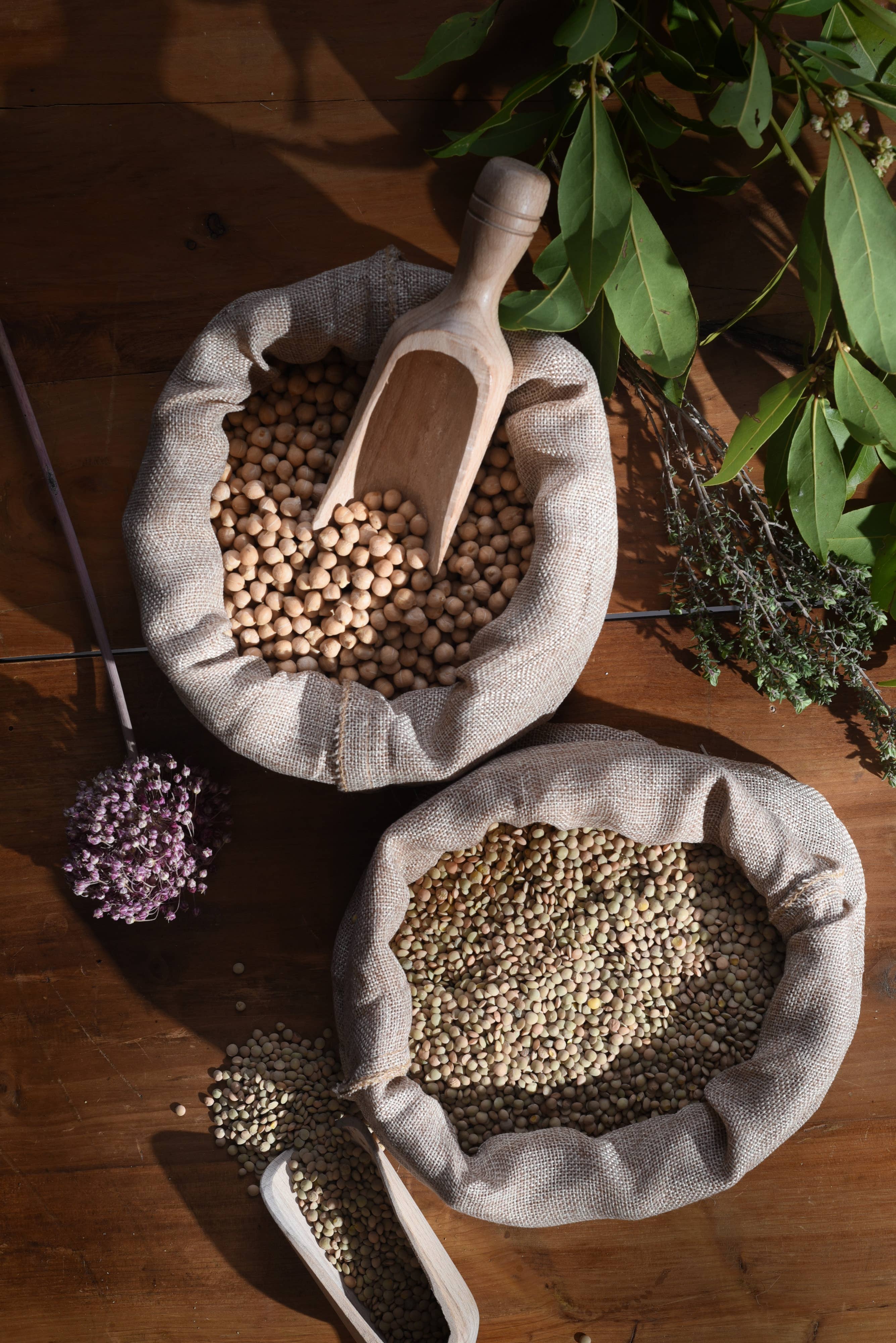 TERRE DI ENTELLA - Azienda Agricola Biologica - Wholesale Beans - Sicilian organic small lentils2