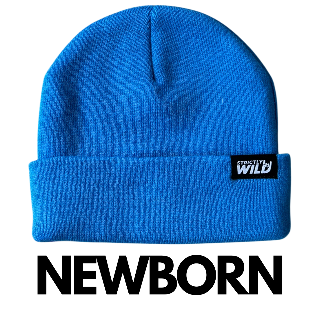 Strictly Wild - Wholesale Beanie - Kids - Blue Blitz Beanie0