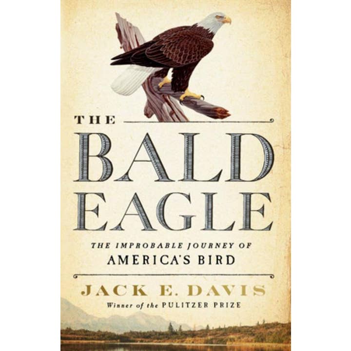 Bald Eagle: The Improbable Journey of America's Bird for wholesale by Microcosm Publishing & Distribution