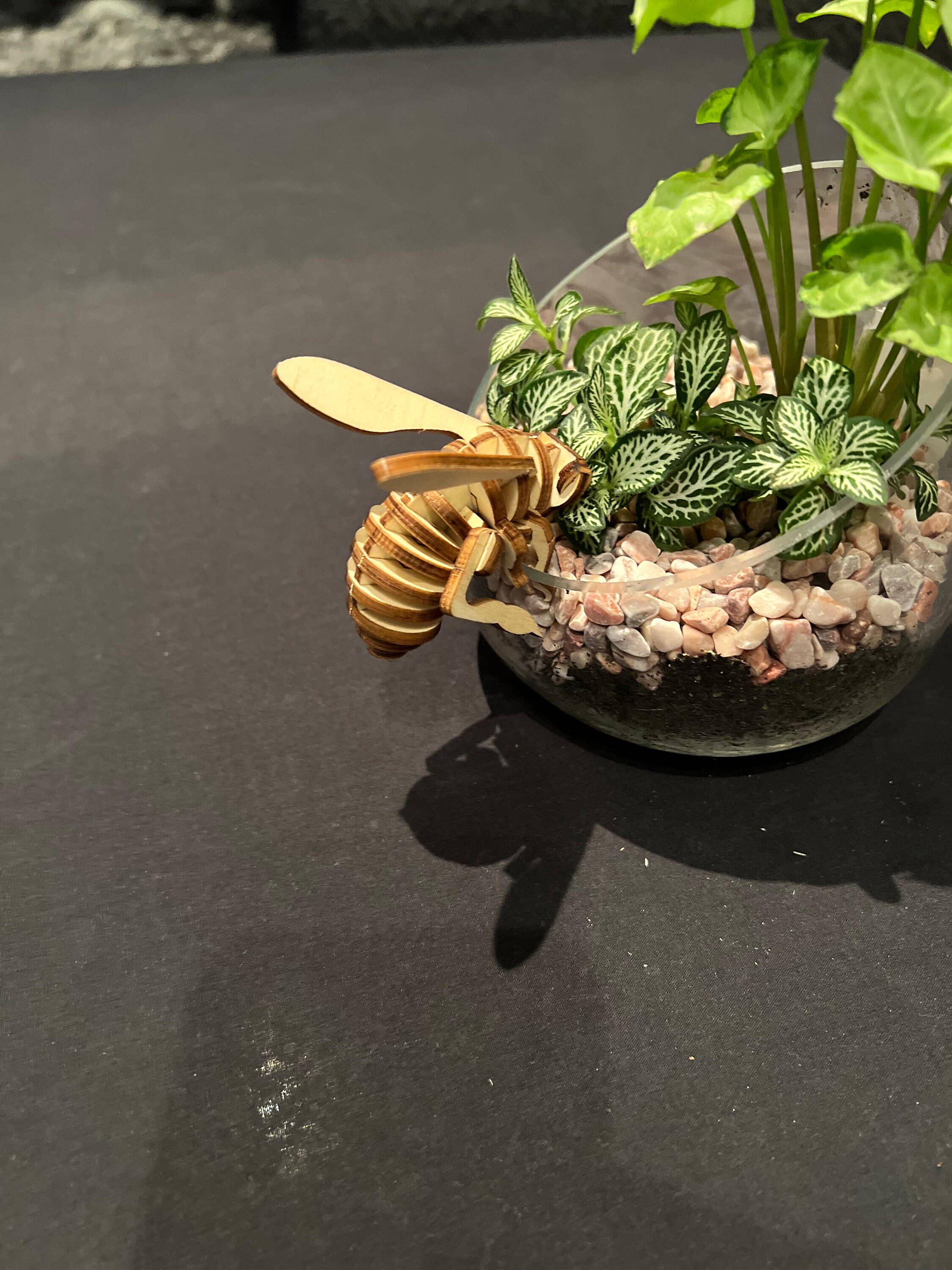 Polygon Jungle - Wholesale DIY Craft Kit - Bee Bud - Timber Pot Accessory Craft Kit1