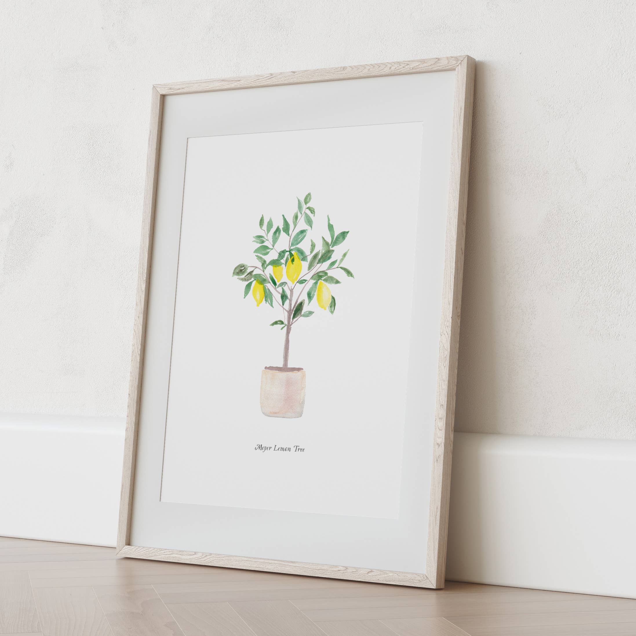 Emerald and Ivy Studios LLC - Vendita all'ingrosso Stampa artistica - Meyer - Stampa artistica ad acquerello con albero di limone1