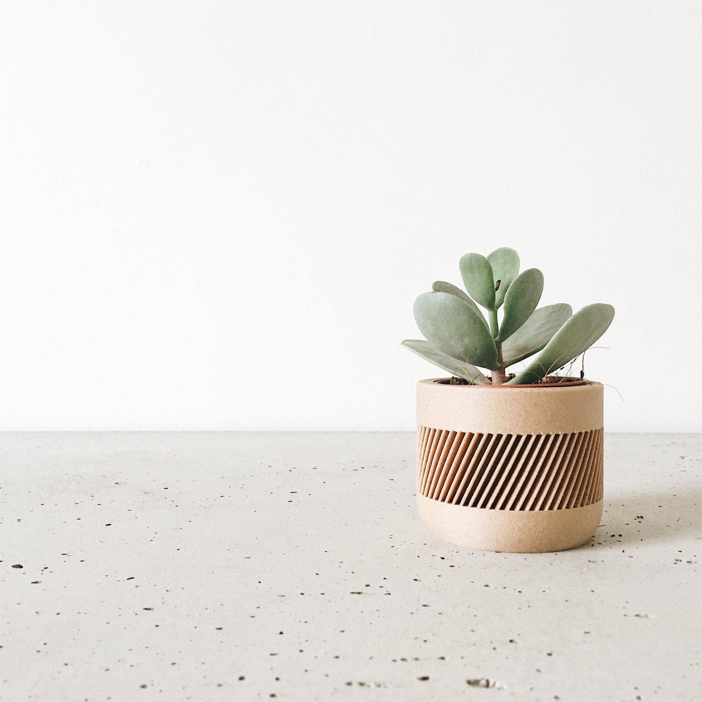 MINIMUM DESIGN – Engroshandel Plantekrukke – Indendørs trækasse til planter – Beige, sort, grøn, mist hvid – Therma4