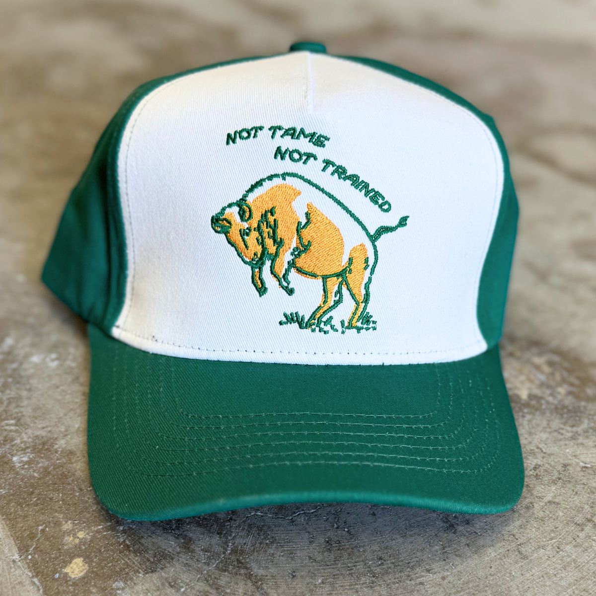 The Montana Scene – wholesale Truckerkeps – Dam – Not Tame Bison Trucker - Marinblå/Grön1