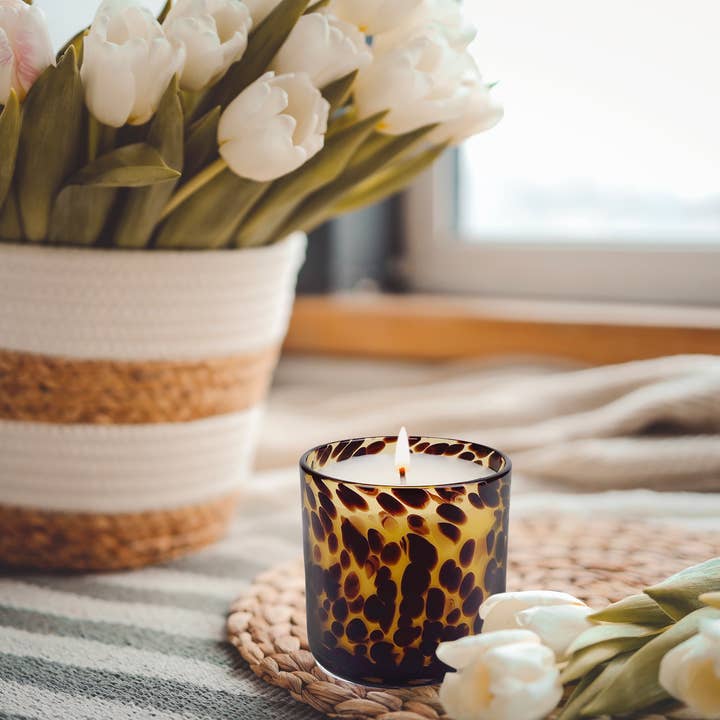 Andaluca - Wholesale Jar/Filled Candle - Sugared Amber Tortoise Soy Blend Candle4