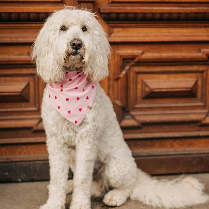 Sjaal "Altijd Lief" voor wholesale door Lieblingspfote