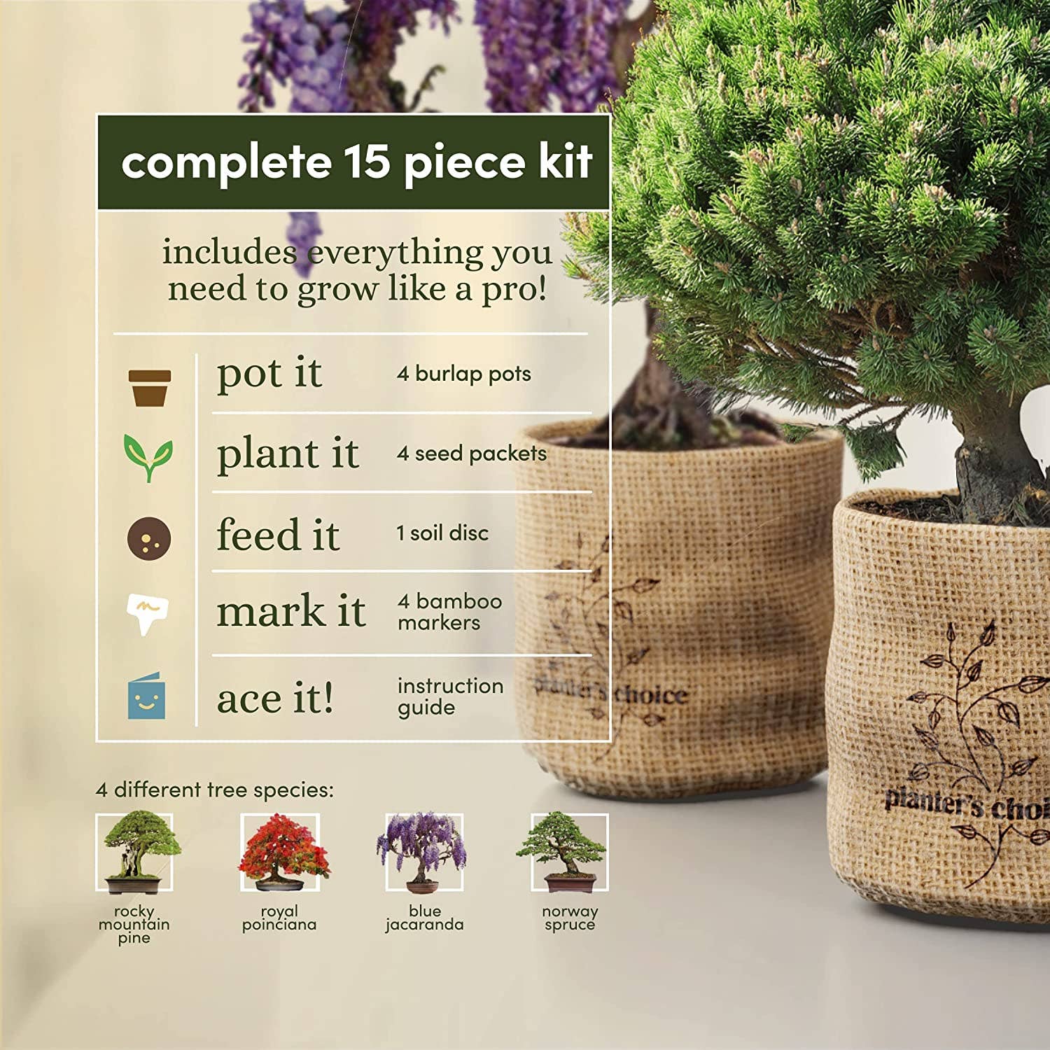 Planter's Choice - Wholesale DIY Craft Kit - Bonsai Starter Kit4