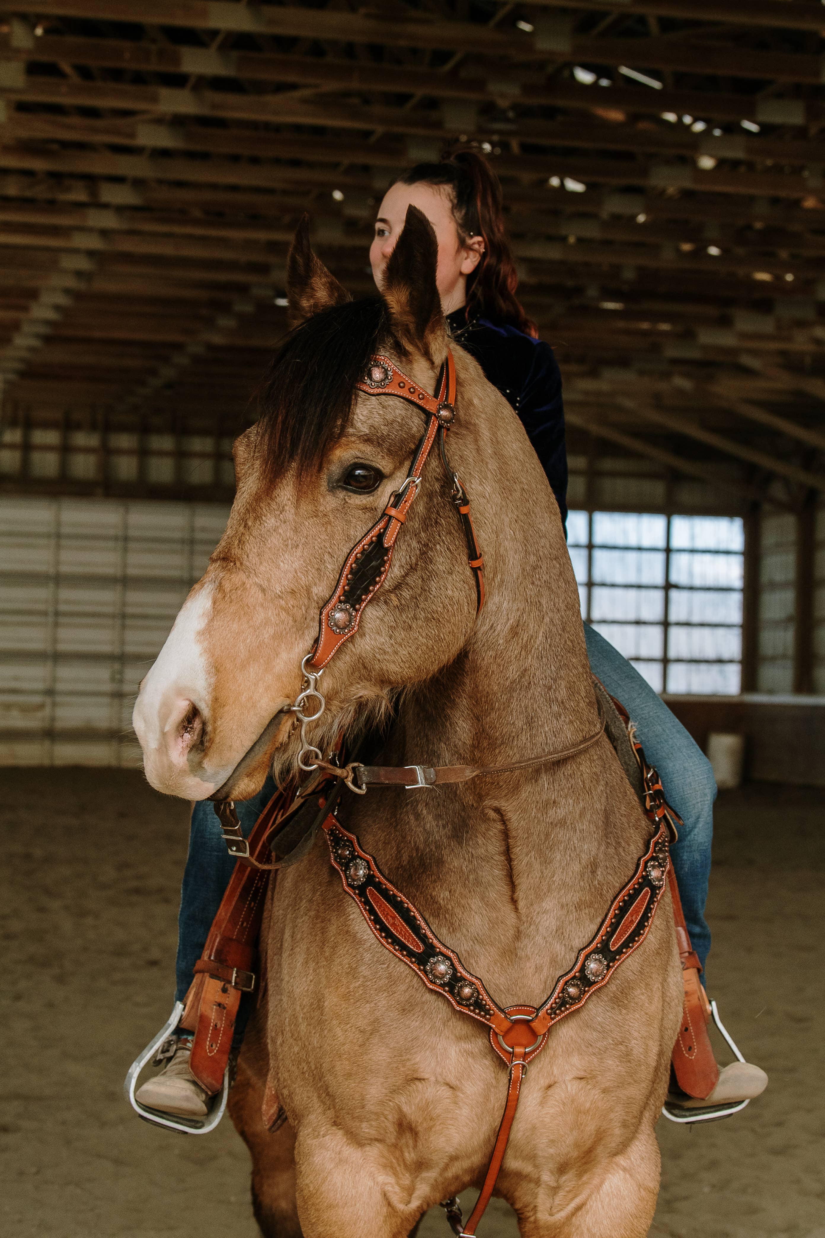 Schulz Equine - Wholesale Horseback Riding Gear - Jesse James Headstall and Breast Collar Set