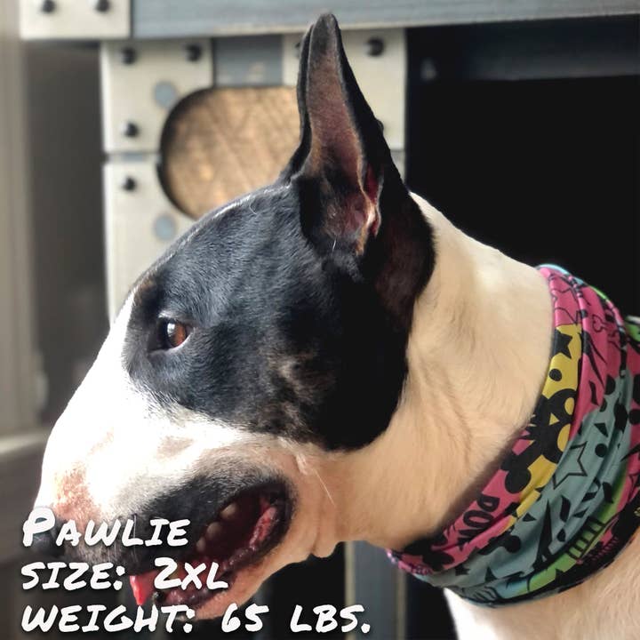 Graffiti Pup Scruff for engroshandel hos Pup Scruffs