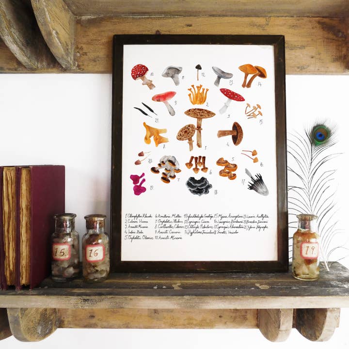 Fungi Art Print for wholesale by Bison Bindery