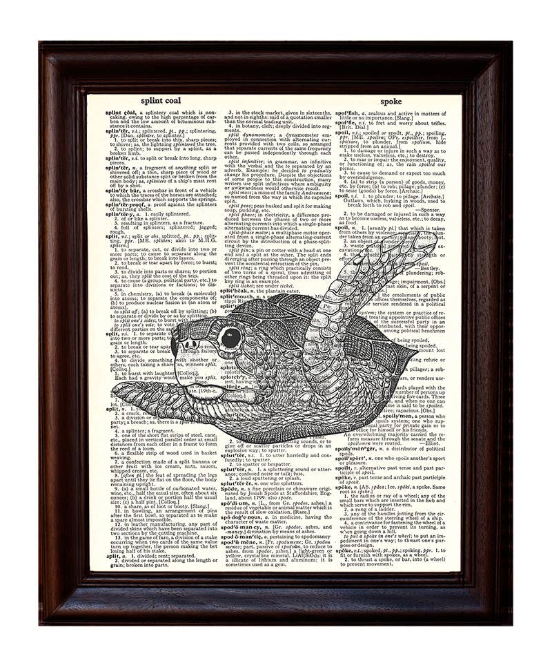 Fresh Prints of CT - Wholesale Art Print - Baby Sea Turtle1