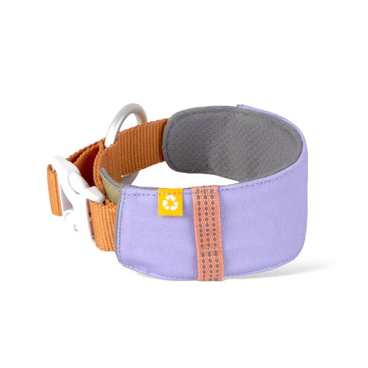 Woolly Wolf - Wholesale Pet collar – Dog - Alpha 360 Dog Collar Recycled (RPET)3
