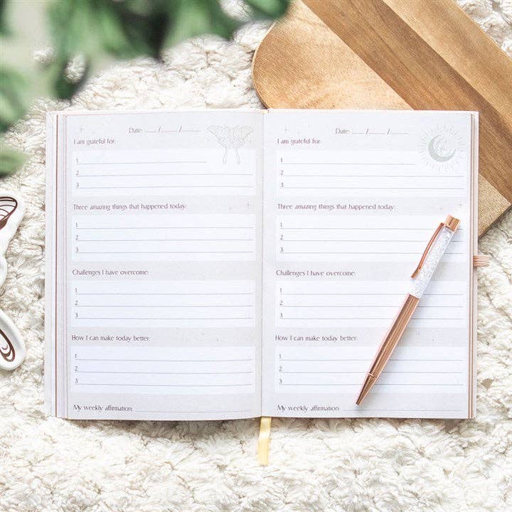 Something Different Wholesale - Wholesale Journal/Diary - Luna Moth Daily Reflection Journal with Clear Quartz Pen