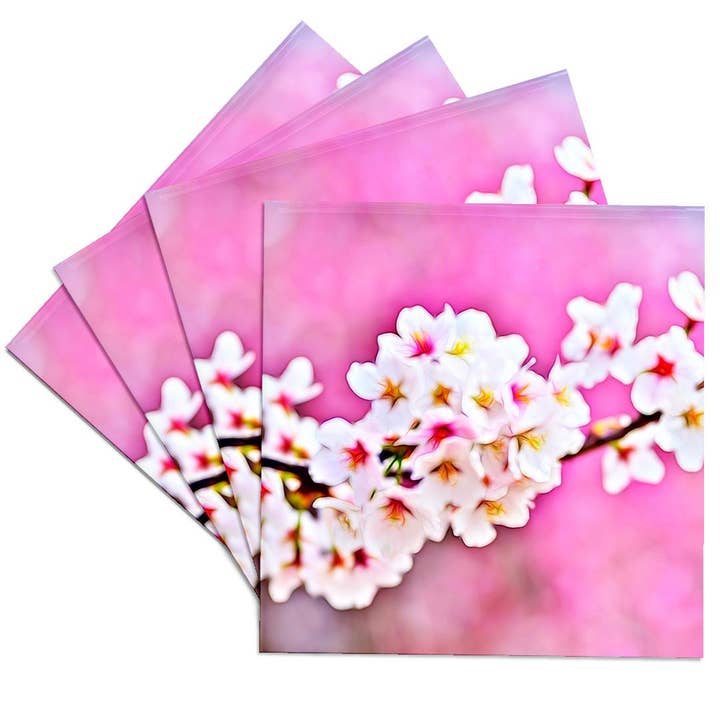 3dRose – Großhandel Untersetzer – 3dRose, Schönes Bild eines lichtdurchfluteten Kirschblütenblumen-Gemäldes, Untersetzer