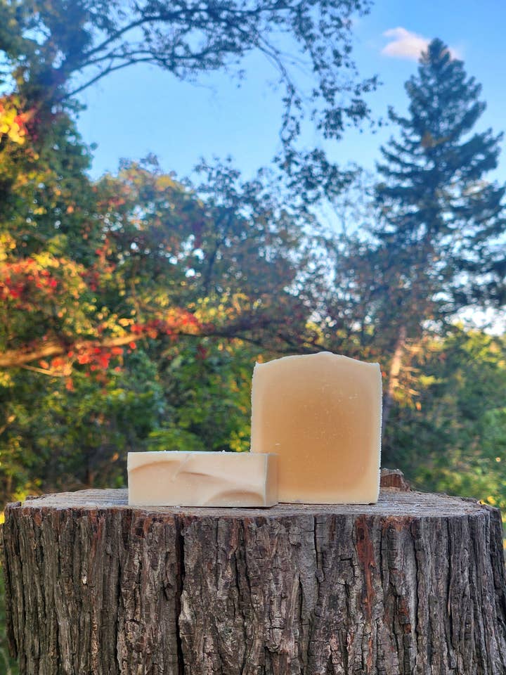 Citrus Bliss - Artisan Soap for wholesale by Martins' Earthly Delights