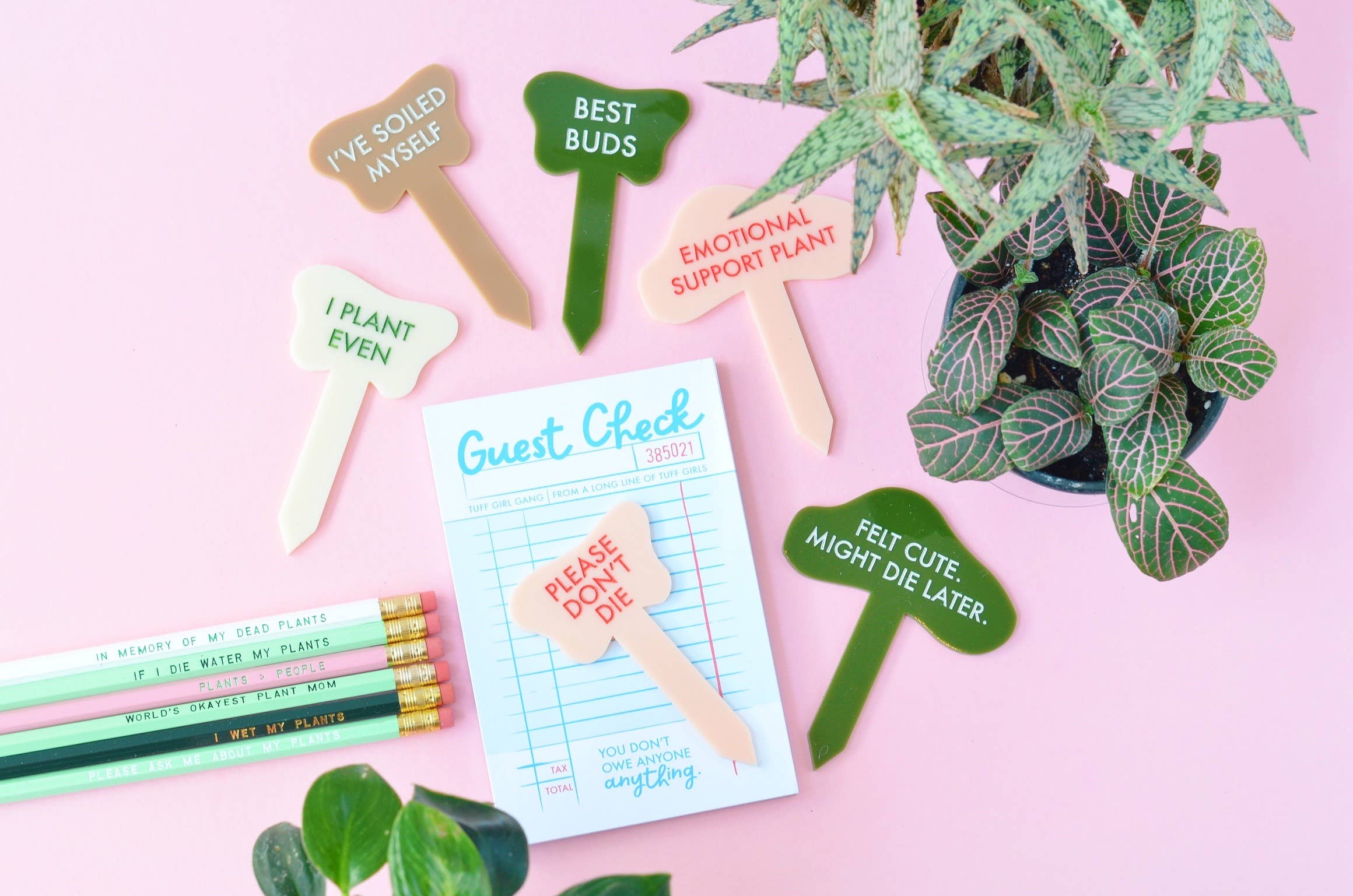 Tuff Girl Gang - Wholesale Plant Pot - PLEASE DON'T DIE Plant Stake3