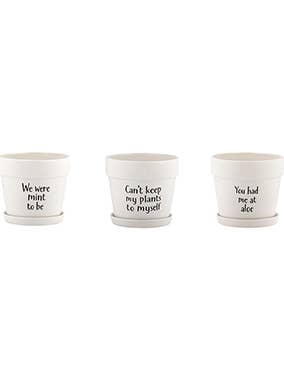 White Planter Pots with Witty Sayings and Saucer Item # 1428 for wholesale by Napco