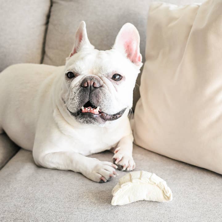 Lambwolf Collective - Wholesale Pet Plush Toy - Dog - DIM SUM POP // Enrichment dog toy 3