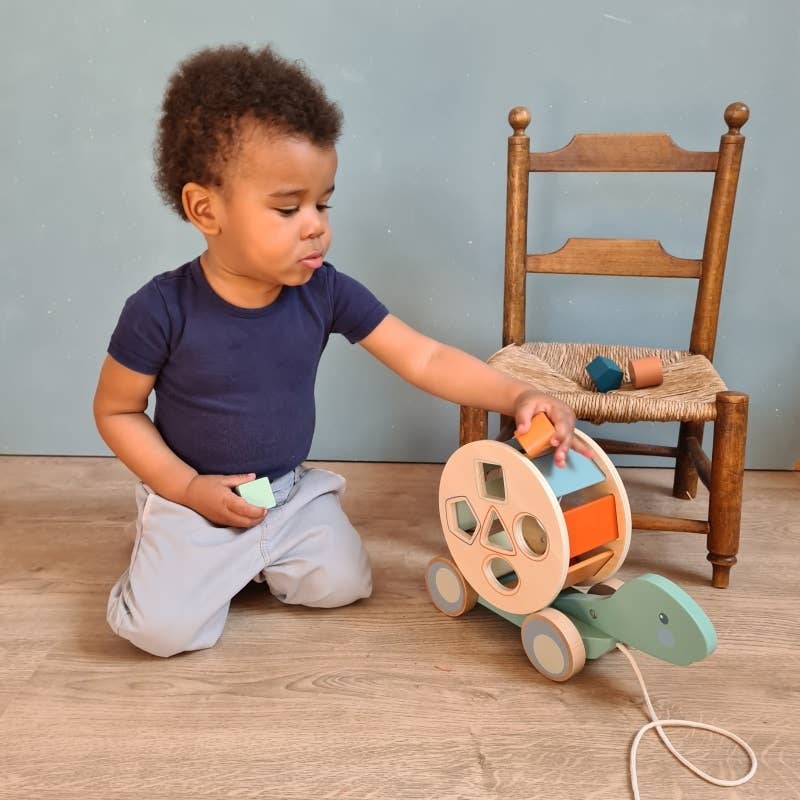 Egmont - Wholesale Wood Toy - Kids - Pull-Along Turtle2