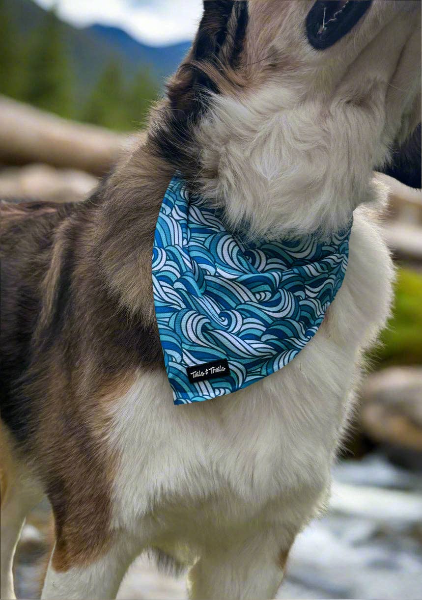 Tails and Trails - Wholesale Hondenbandana - Hond - Riptide Bandana4