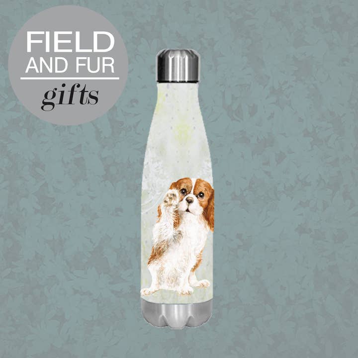 Jenny, Cavalier King Charles Spaniel, eau isolée pour la vente par Field and Fur Gifts