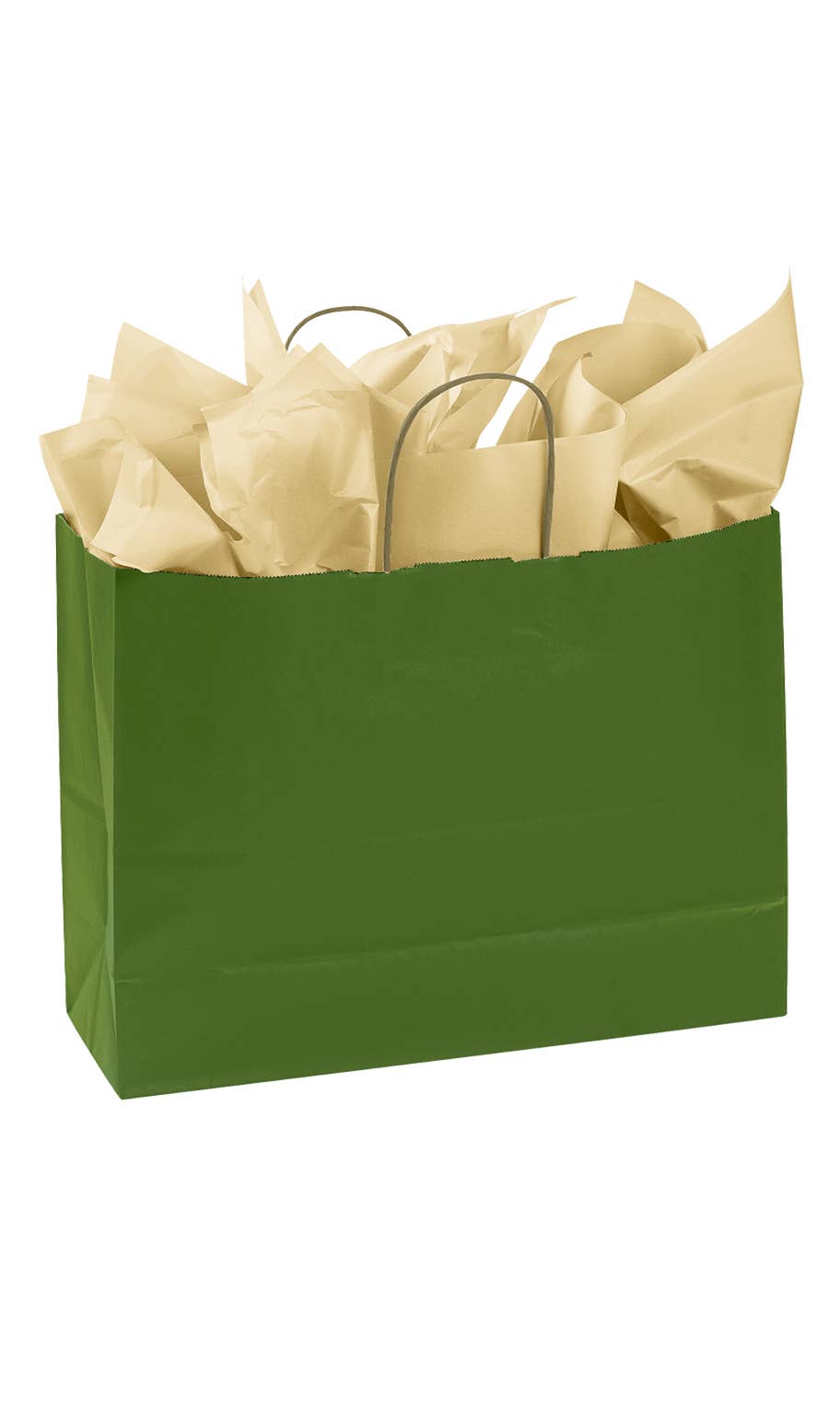Store Supply Warehouse - Wholesale Gift Bag - Colorful Kraft Paper Shopping Bags34