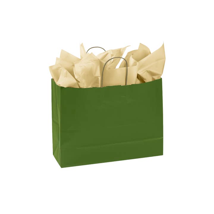 Store Supply Warehouse - Wholesale Gift Bag - Colorful Kraft Paper Shopping Bags34