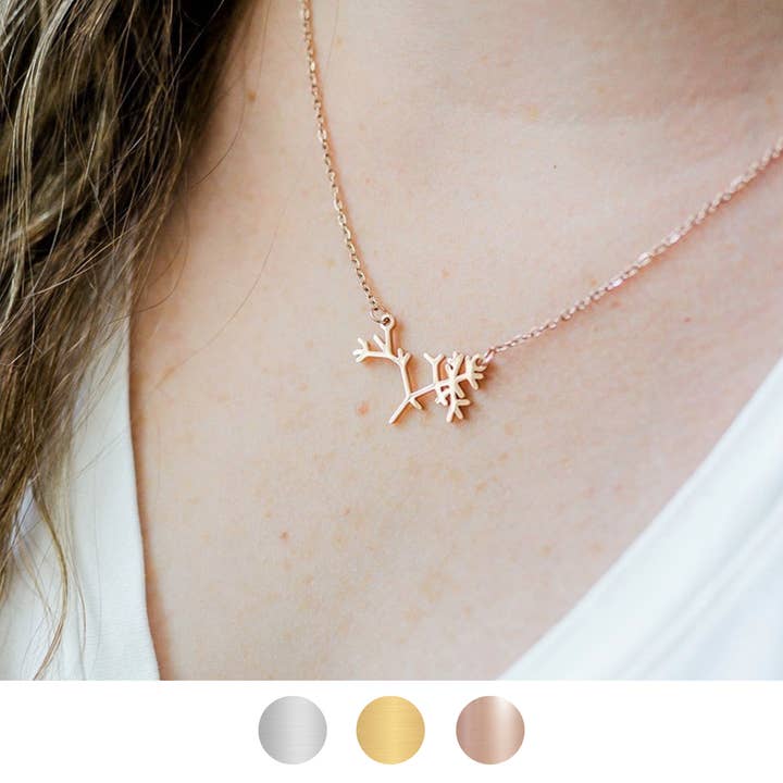 Darwin's Tree of Life Biology Necklace for wholesale by Ad Astra Boutique