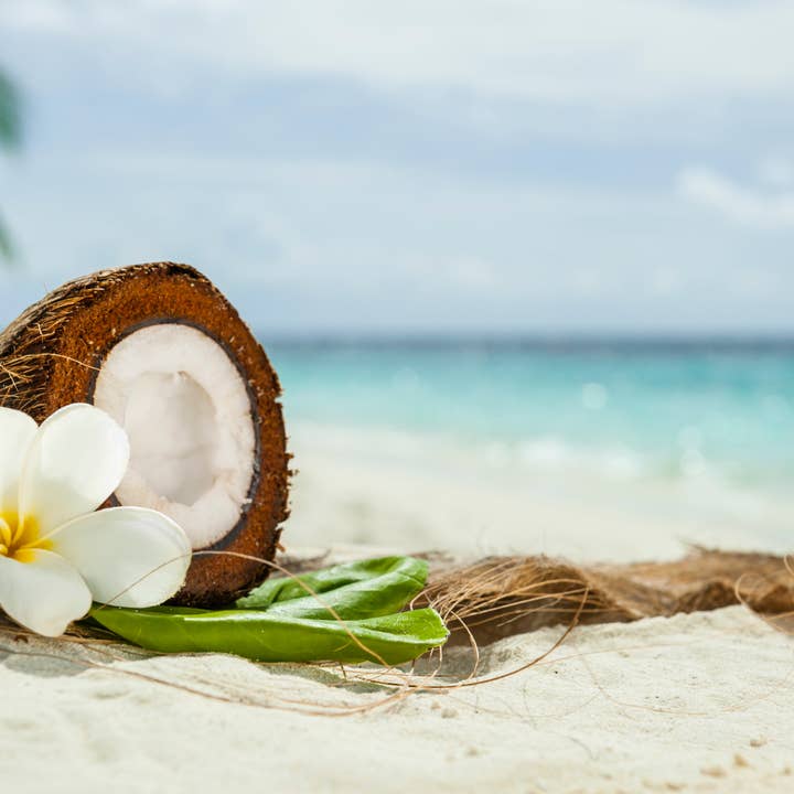 Coconut Mango Fragrance Oil for wholesale by Wood Bowl Candle Supply