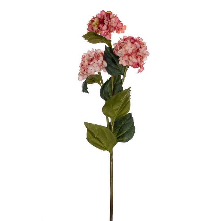 Pulvérisateur Vickerman pour hortensias à saumon, 33 po, 2/sachet pour la vente par Vickerman