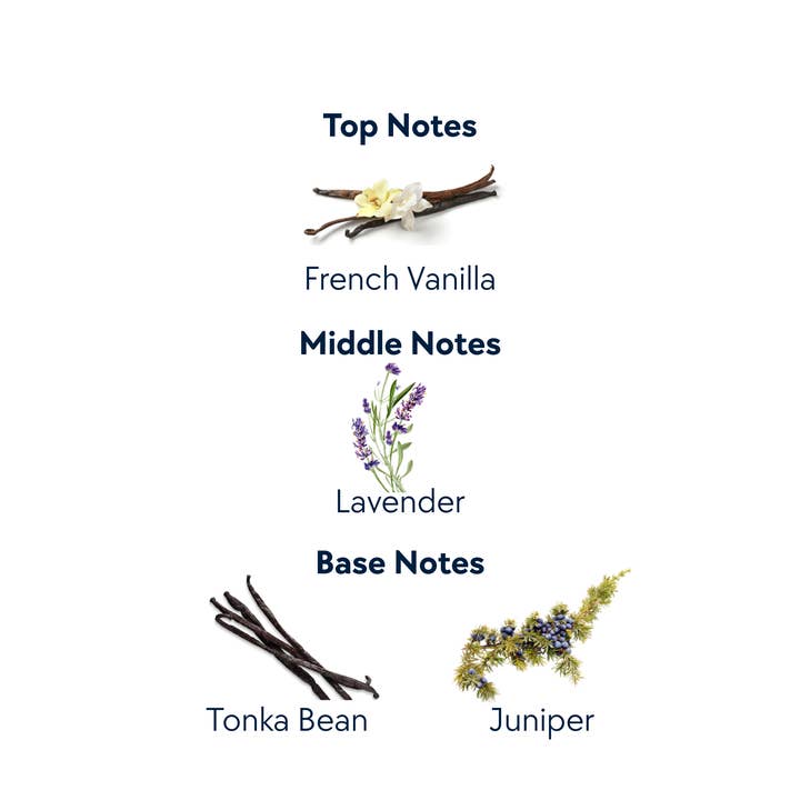 Expressive Aromas - Wholesale Perfume/Eau de Toilette - McKinney Ave Eau De Parfum Spray 30mL Lavendar Vanilla1