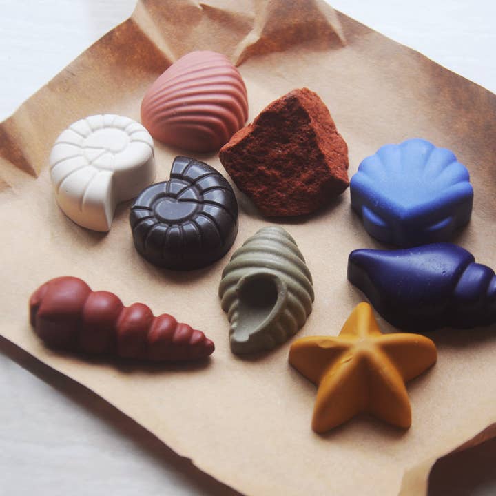 Ocean Shells 8 Natural Beeswax Seashell Crayons for wholesale by Smilogy Kids Ltd