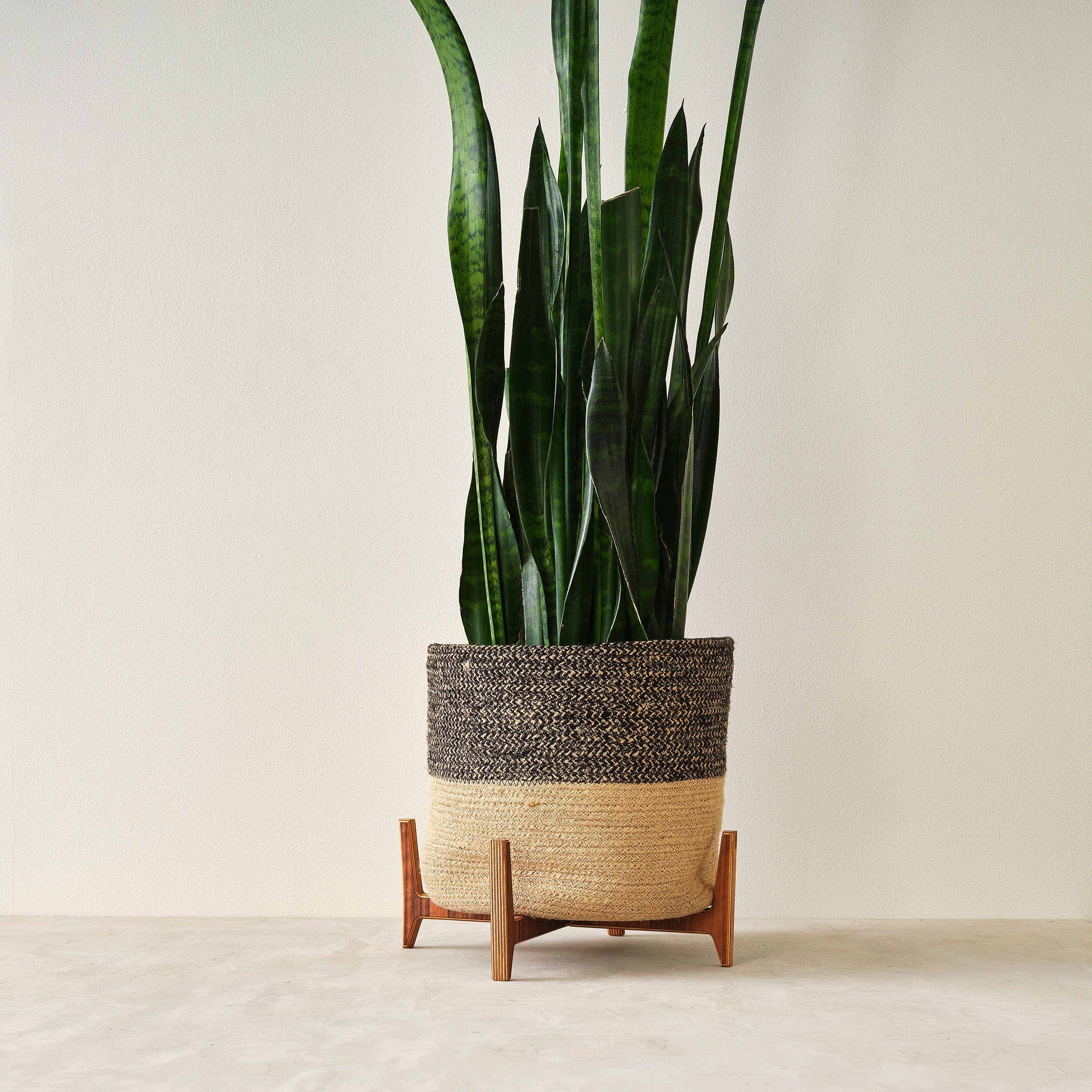 Relic Modern™ | Furniture & Objects - Wholesale Plant Pot Stand - Minimalist Walnut Plant Stand - (4", 6", 8", 10", 12")6