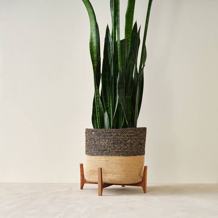 Relic Modern™ | Furniture & Objects - Wholesale Plant Pot Stand - Minimalist Walnut Plant Stand - (4", 6", 8", 10", 12")6