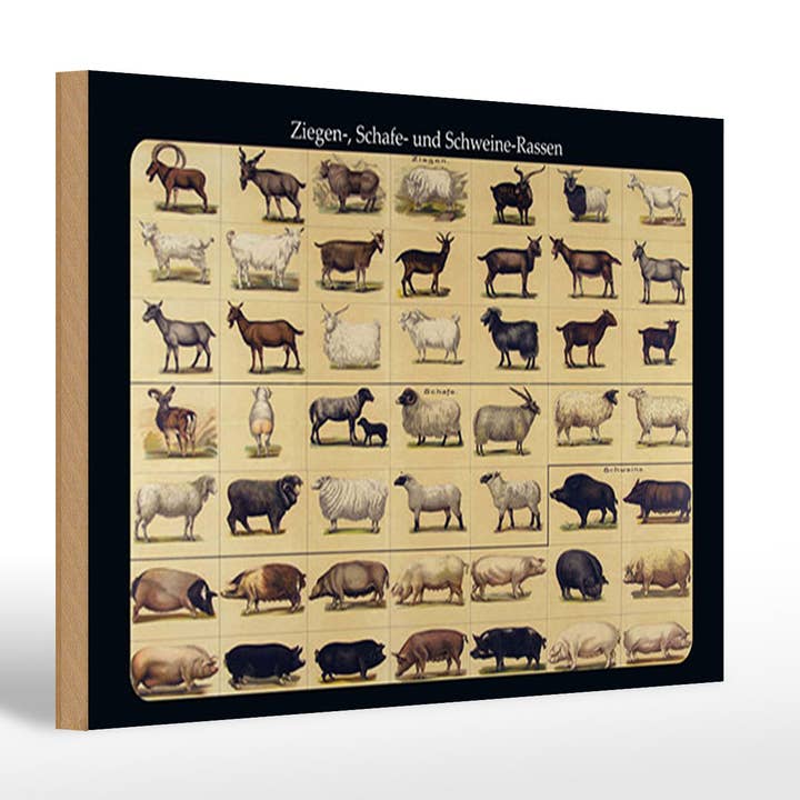 Cartel de madera animales 20x30 cm razas de cabras, ovejas y cerdos para venta al por mayor de Femer