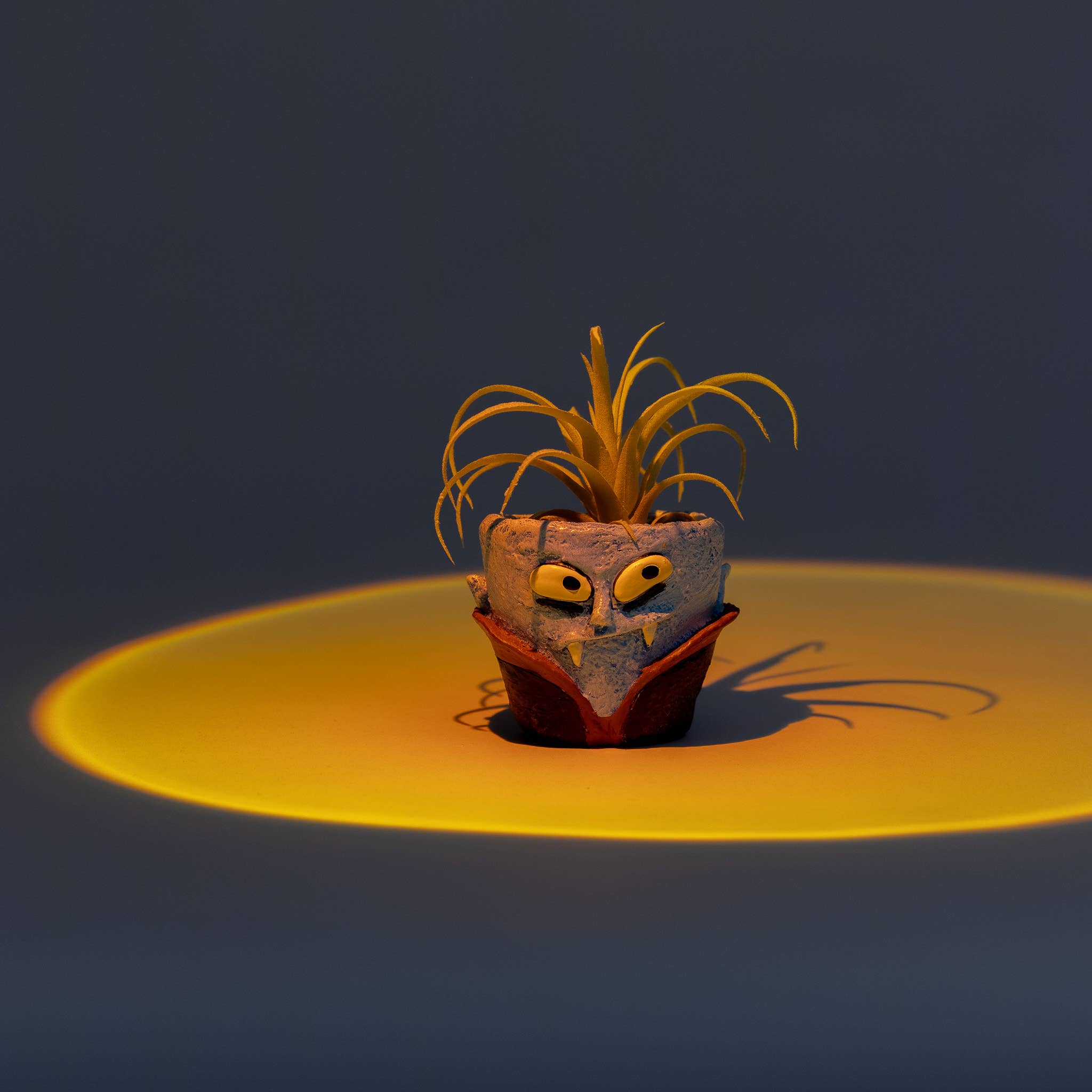 Cohasset Gifts - Wholesale Plant Pot - Vampire Blobhouse Planter - Count Succula - Halloween Blobs2