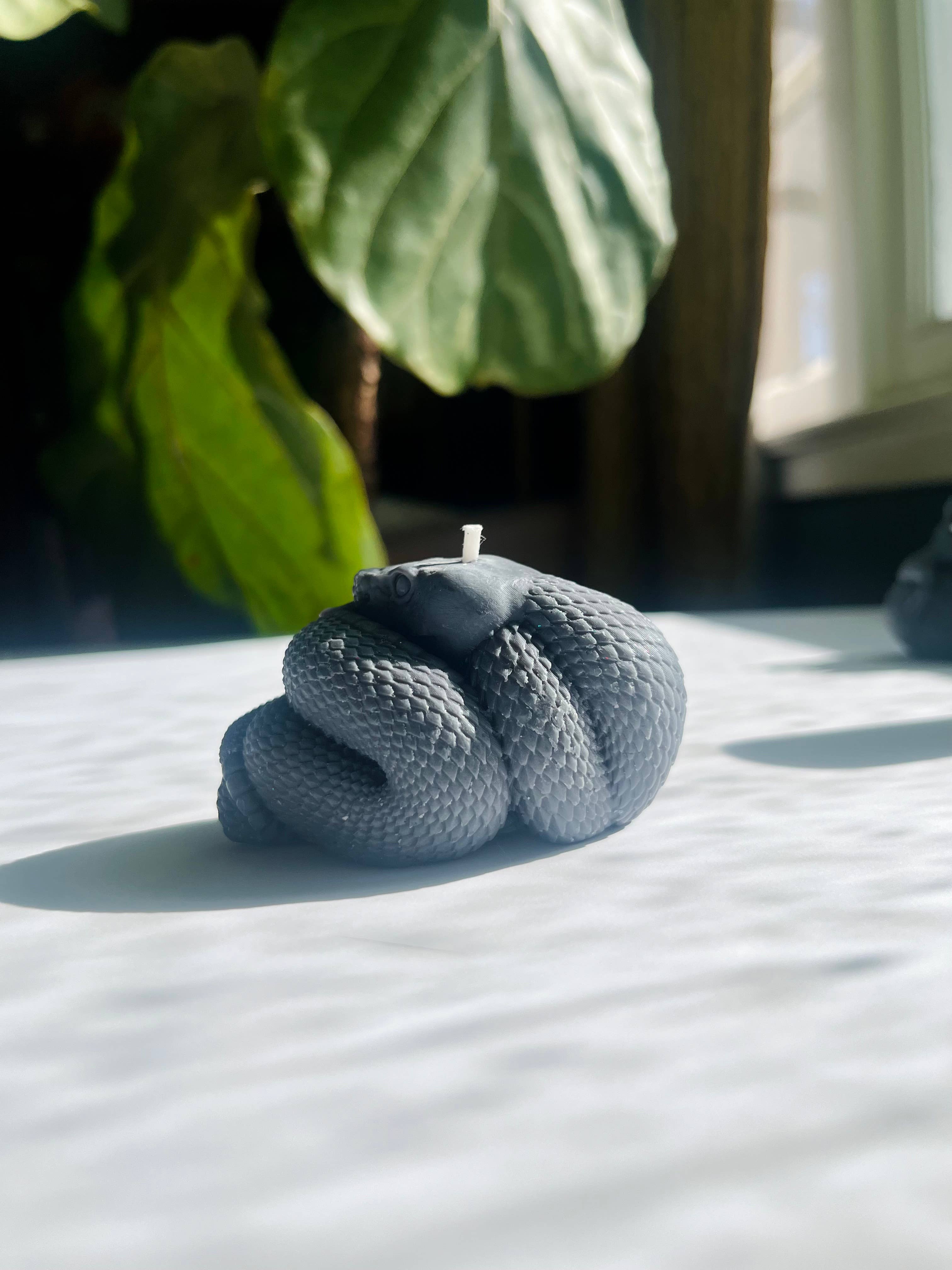 Beauty and the Moon - Wholesale Pillar Candle - Black Snake Candle | Witch Candle | Snake Art | Beeswax Soy 1