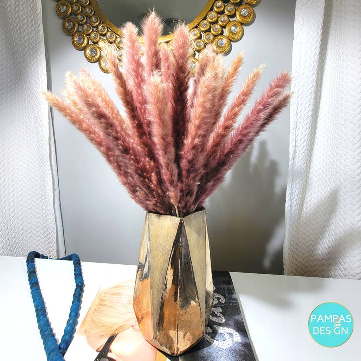 Pampas Design – Großhandel Getrocknete/gepresste Blumen – Hellblaues Pampasgras 30 Stängel