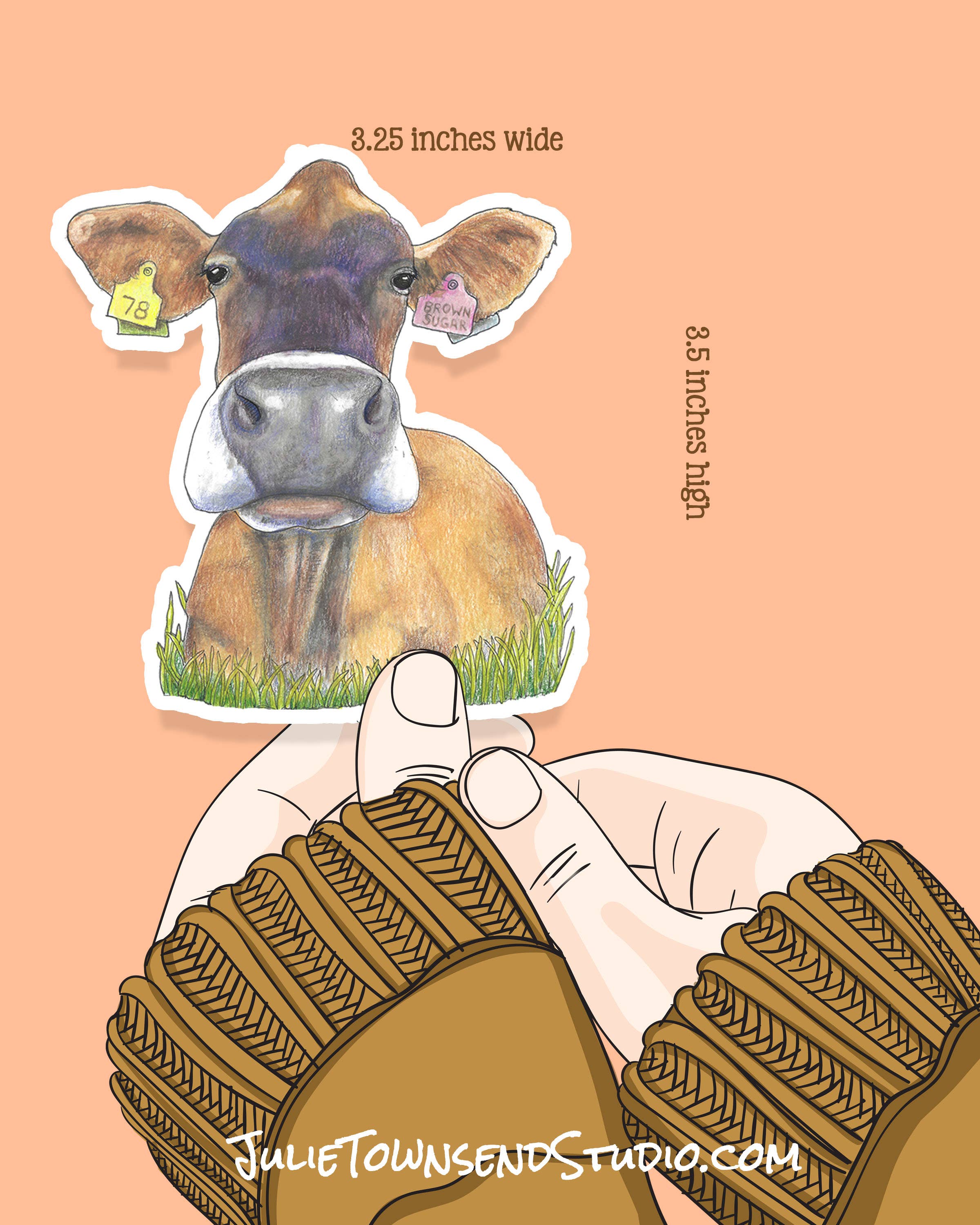 Julie Townsend Studio - Wholesale Sticker - Sticker - Jersey Dairy Cow - Handmade Waterproof Vinyl5