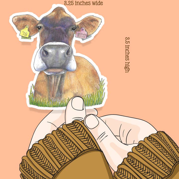 Julie Townsend Studio - Wholesale Sticker - Sticker - Jersey Dairy Cow - Handmade Waterproof Vinyl5