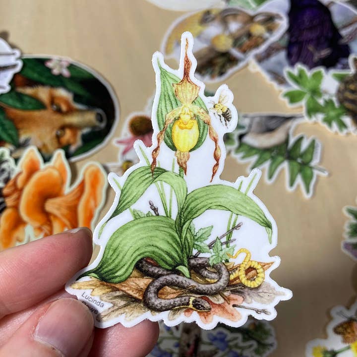 Autocollant - Couleuvre à collier et sabot de Vénus pour la vente par Lucinda Rowe Art