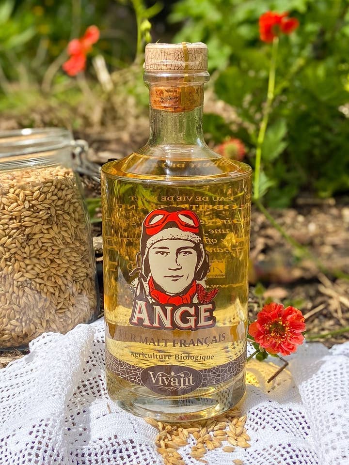 Pure French malt Ange - Organic farming for wholesale by Alcools Vivant