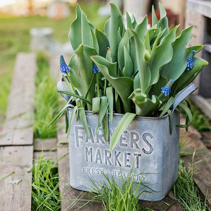 Rustic Reach - Wholesale Plant Pot - Rectangular Flower Pot Gray Farmers Market